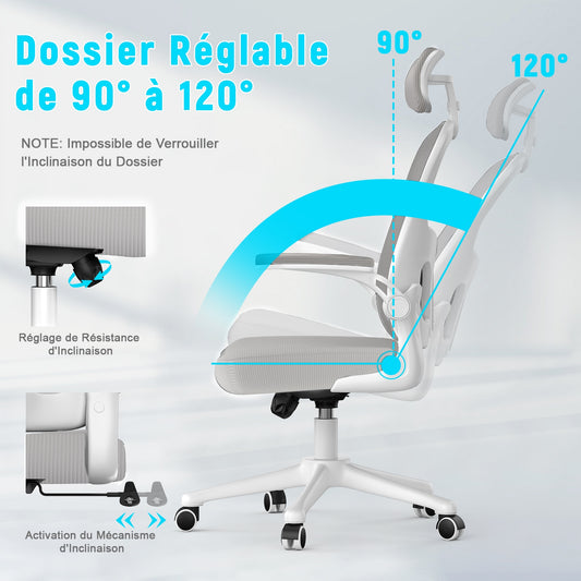 naspaluro Chaise de Bureau, Fauteuil de Bureau avec Soutien Lombaire Ajustable, Accoudoir et Appui-tête Réglables, Dossier Ergonomique Inclinable, Roulette Pivotant à 360°