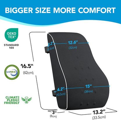 Naspaluro Lumbar Support Pillow for Office Chair, Office Home Essentials,Gifts for Mom,Dad, Back Support Pillow for Car, Chair Cushions,Back Pain Relief Improve Posture,Mesh Cover Double Adjustable Straps